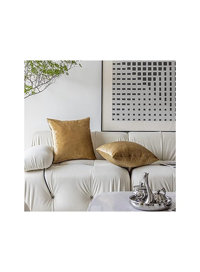 The Bros أغطية وسائد مخملية ذهبية 18x18 أغطية وسائد زخرفية مربعة ناعمة من المخمل للكنبة والأريكة والسرير وغرفة المعيشة، مجموعة من 2، 18 × 18 بوصة، ذهبية - Image 2