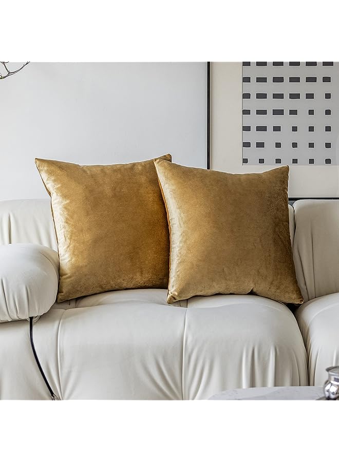 The Bros أغطية وسائد مخملية ذهبية 18x18 أغطية وسائد زخرفية مربعة ناعمة من المخمل للكنبة والأريكة والسرير وغرفة المعيشة، مجموعة من 2، 18 × 18 بوصة، ذهبية - Image 1