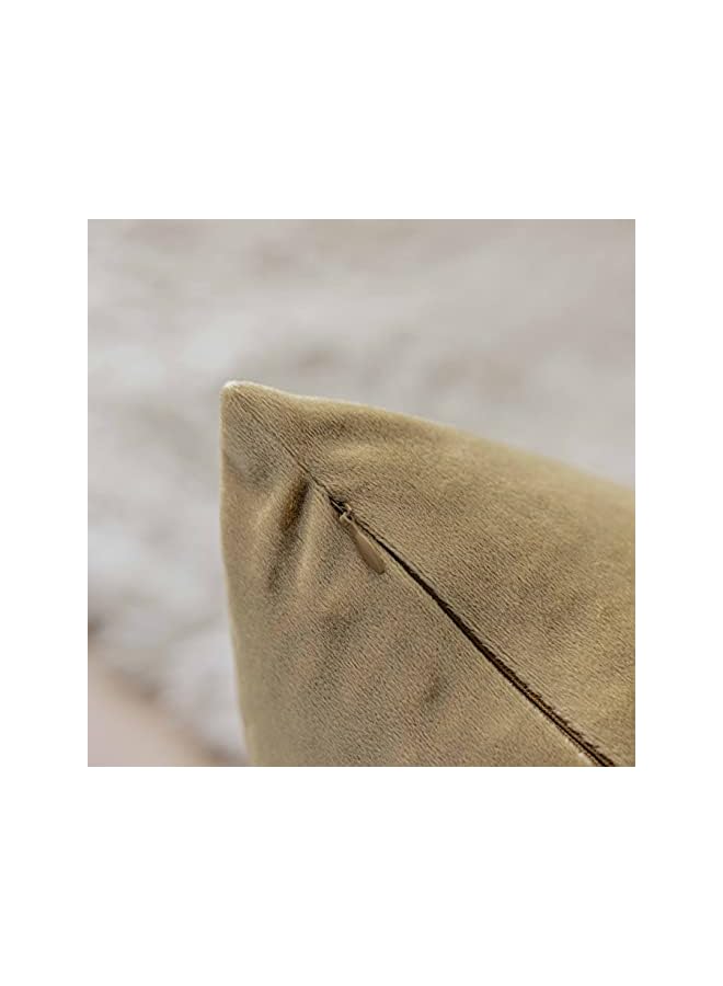 The Bros أغطية وسائد مخملية ذهبية 18x18 أغطية وسائد زخرفية مربعة ناعمة من المخمل للكنبة والأريكة والسرير وغرفة المعيشة، مجموعة من 2، 18 × 18 بوصة، ذهبية - Image 4