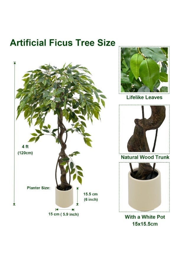 MirageBotanics 120cm Large Ficus Artificial Trees in White Pot, 4ft Tall Fake Silk Tree with Natural Curved Trunk, Lush Faux Ficus Tree for Indoor Home Decor, Living Room, Office & Patio - Image 3