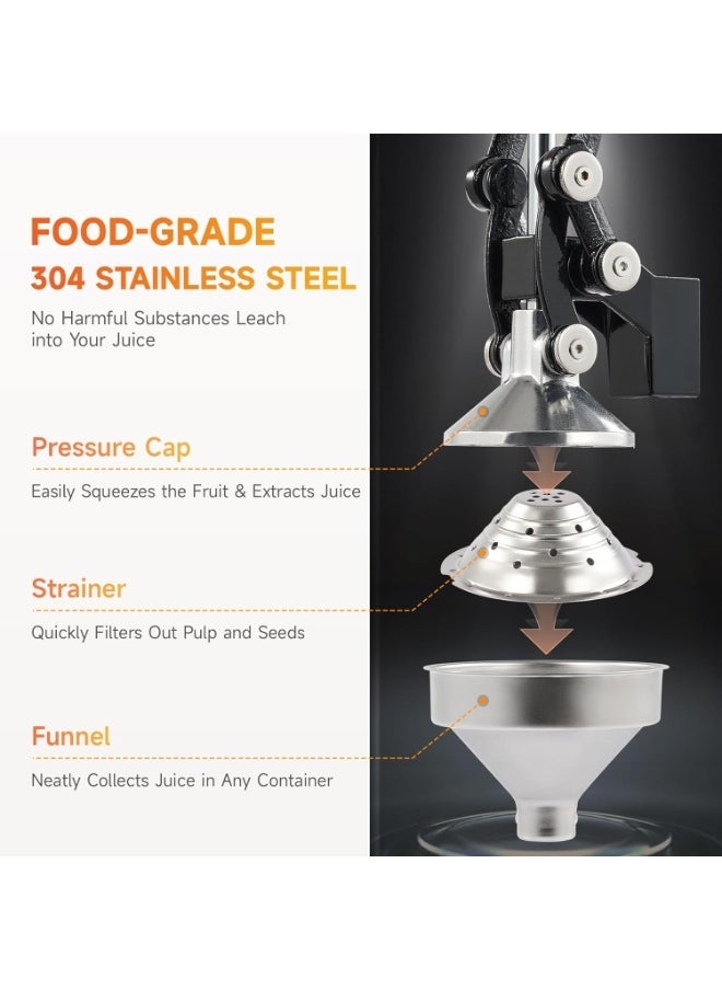 TIGER Manual Citrus Juicer – Heavy Duty Hand Press Fruit Squeezer for Freshly Extracting Juice from Oranges, Lemons, Limes, Pomegranates – Durable Stainless Steel Fruit Press with Ergonomic Handle for Easy, Efficient Juice Extraction at Home and Kitchen Use - Image 2