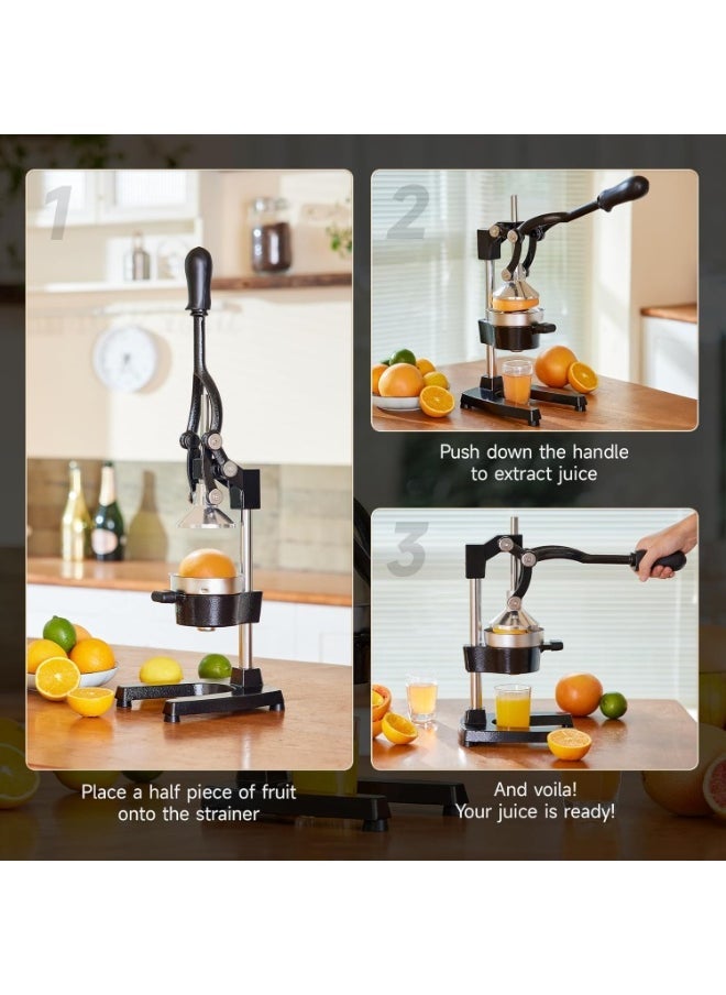 TIGER Manual Citrus Juicer – Heavy Duty Hand Press Fruit Squeezer for Freshly Extracting Juice from Oranges, Lemons, Limes, Pomegranates – Durable Stainless Steel Fruit Press with Ergonomic Handle for Easy, Efficient Juice Extraction at Home and Kitchen Use - Image 5