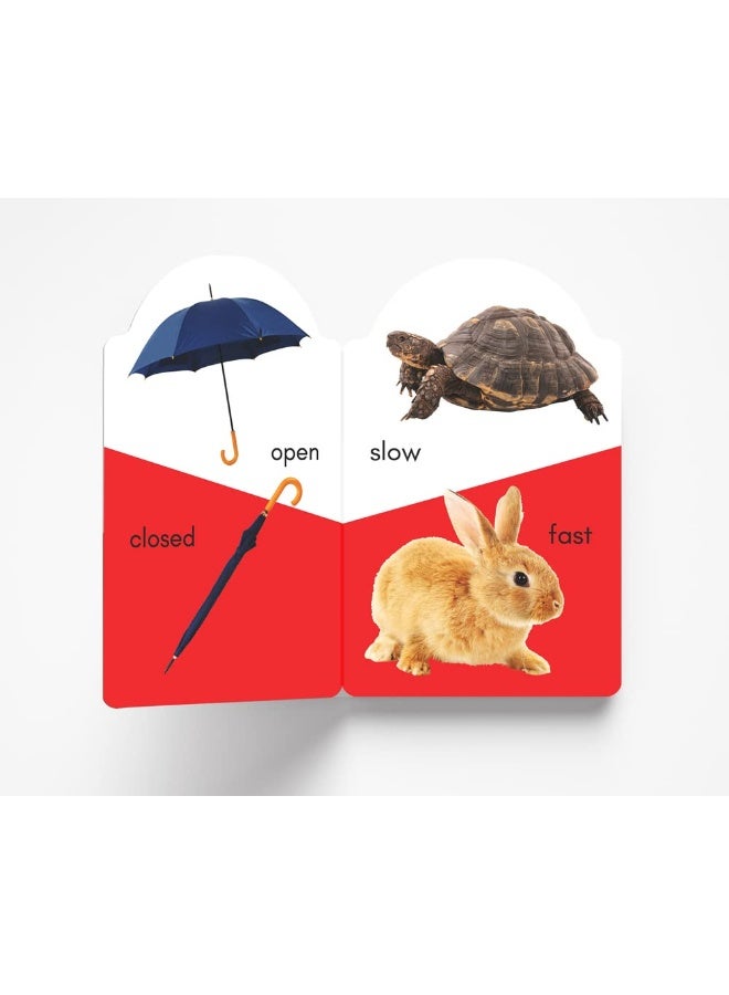 My Super Pack Of Board Books : Opposites, Wild Animals, Farm Animals and Pets, Birds, Transport, People At Work (6 Early Learning Board Books with an attractive shape) - Image 5