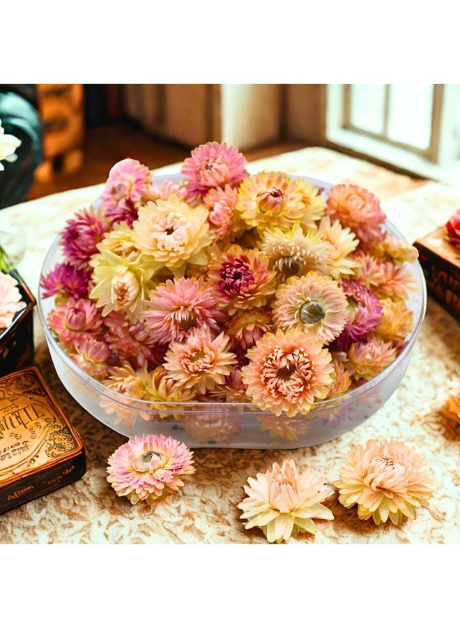 FANCY FLOWERS FANCY Natural Dried Helichrysum Flowers – Dry Floral Decor for Crafts, Weddings & Home Décor – Assorted Colors (White, Pink, Yellow) – Bulk Dried Flowers in Gift Box (PINK, MEDIUM) - Image 1