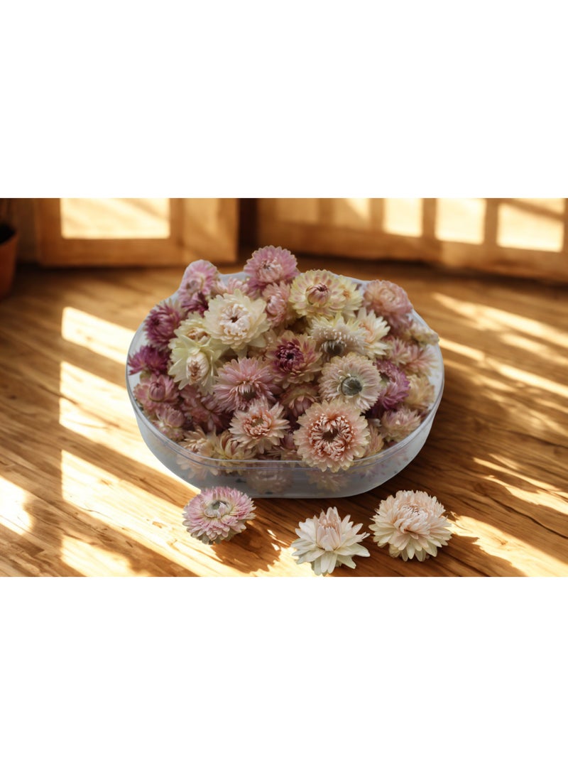FANCY FLOWERS FANCY Natural Dried Helichrysum Flowers – Dry Floral Decor for Crafts, Weddings & Home Décor – Assorted Colors (White, Pink, Yellow) – Bulk Dried Flowers in Gift Box (PINK, MEDIUM) - Image 2