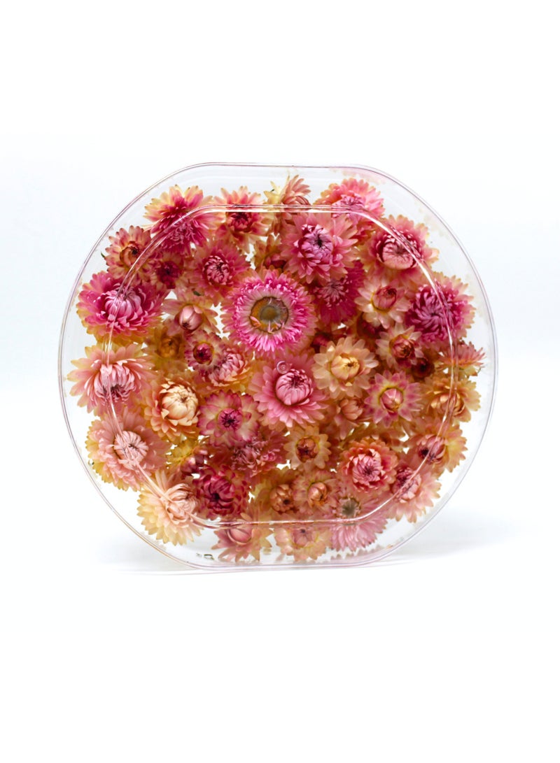 FANCY FLOWERS FANCY Natural Dried Helichrysum Flowers – Dry Floral Decor for Crafts, Weddings & Home Décor – Assorted Colors (White, Pink, Yellow) – Bulk Dried Flowers in Gift Box (PINK, MEDIUM) - Image 3
