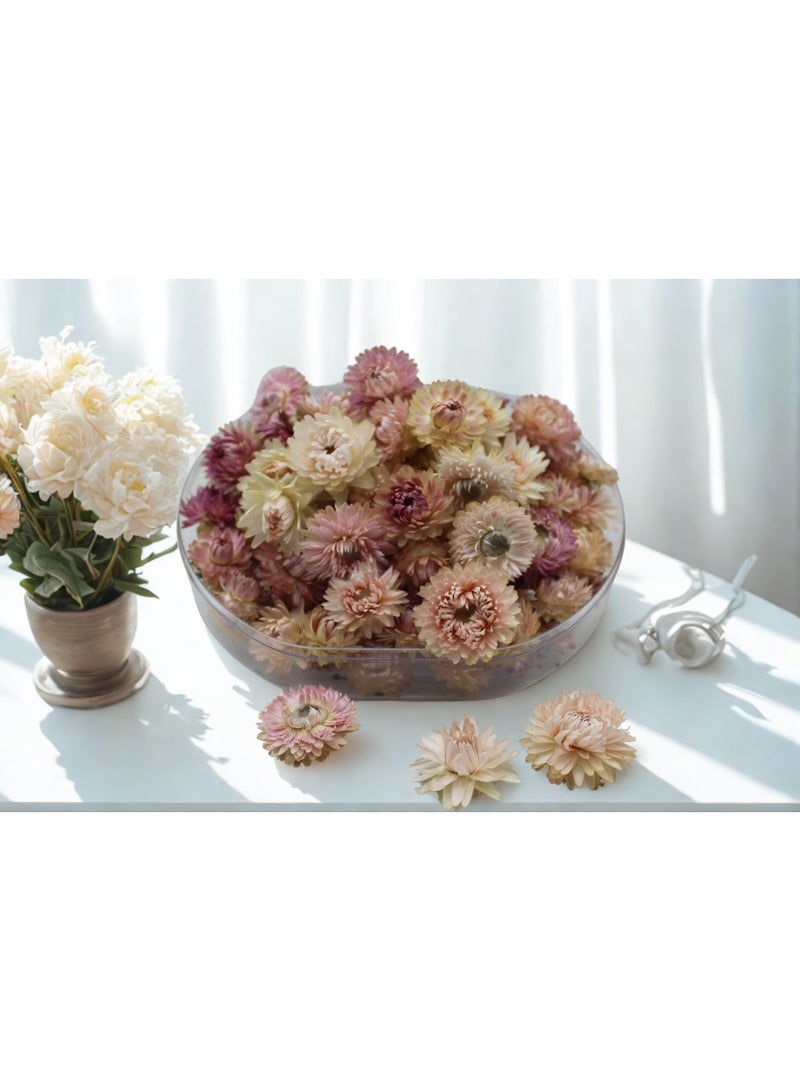 FANCY FLOWERS FANCY Natural Dried Helichrysum Flowers – Dry Floral Decor for Crafts, Weddings & Home Décor – Assorted Colors (White, Pink, Yellow) – Bulk Dried Flowers in Gift Box (PINK, MEDIUM) - Image 5