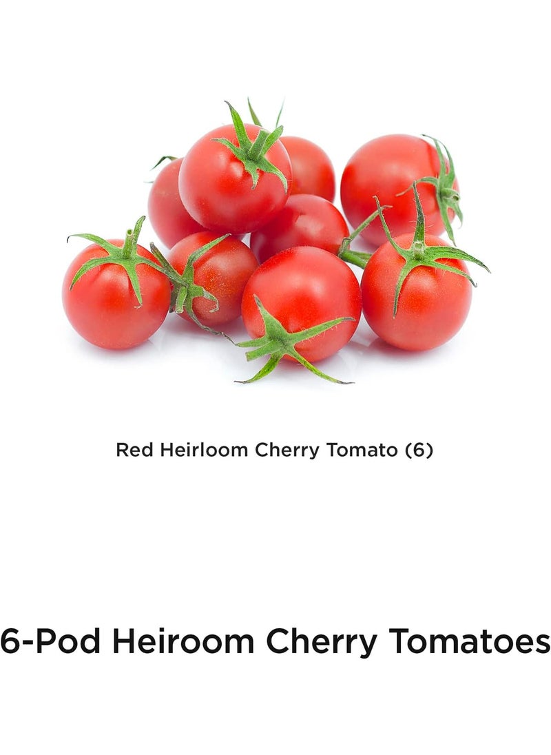 AeroGarden AeroGarden Red Heirloom Tomato Seed Pod Kit 6pod  - Image 2