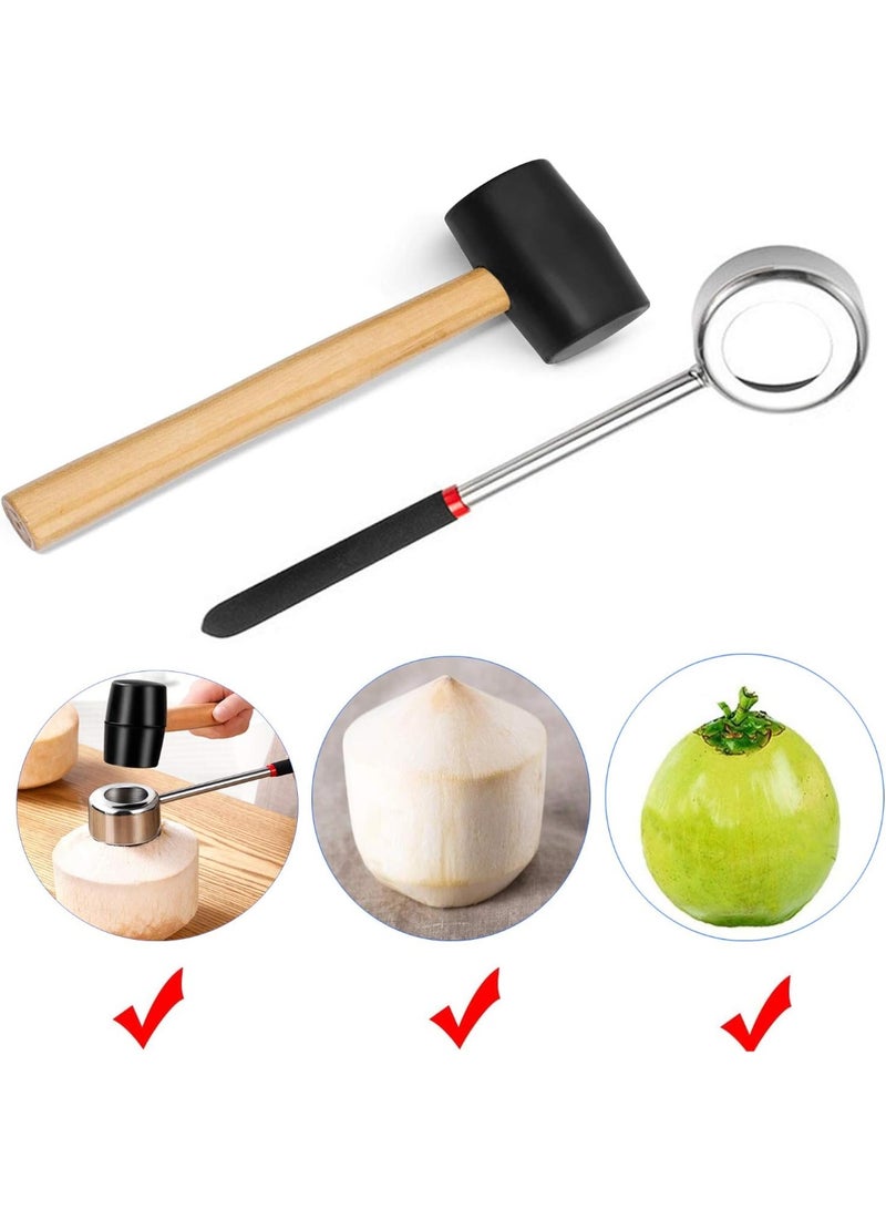 Bluejw Coconut Opener Tool Set, Food Grade Stainless Steel Coconut, Opener Coconut Breaker Kit for Coconut Young/Mature - Image 2