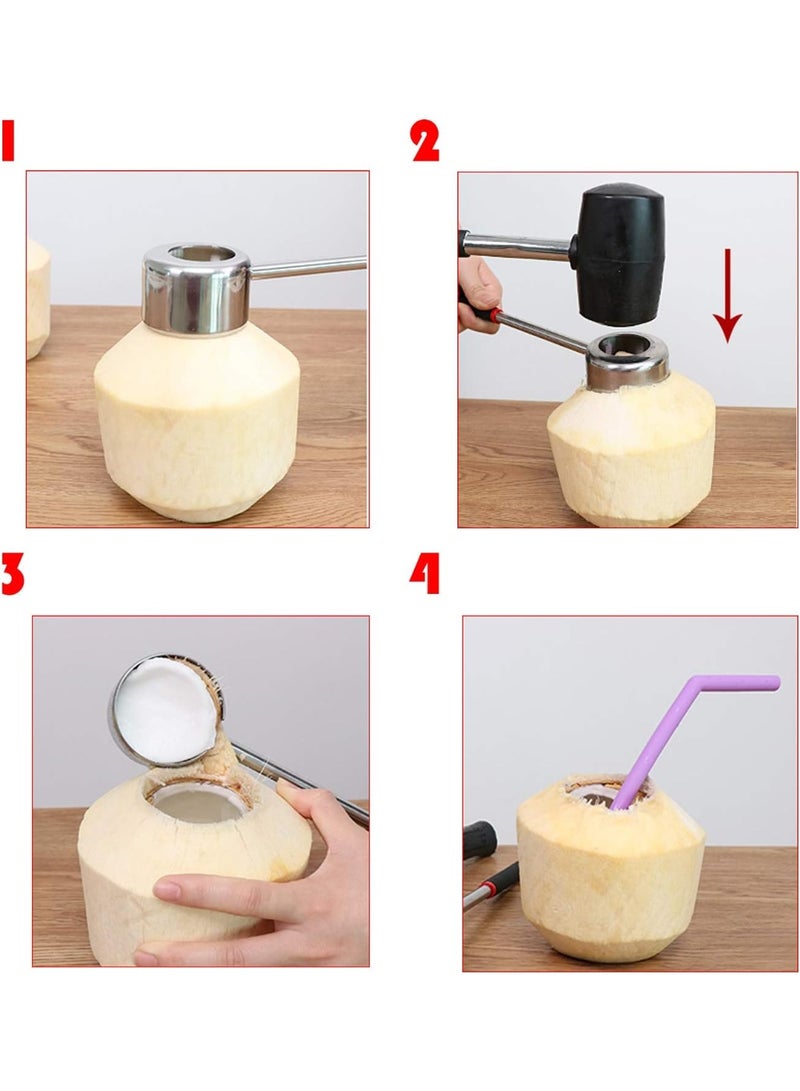 Bluejw Coconut Opener Tool Set, Food Grade Stainless Steel Coconut, Opener Coconut Breaker Kit for Coconut Young/Mature - Image 4