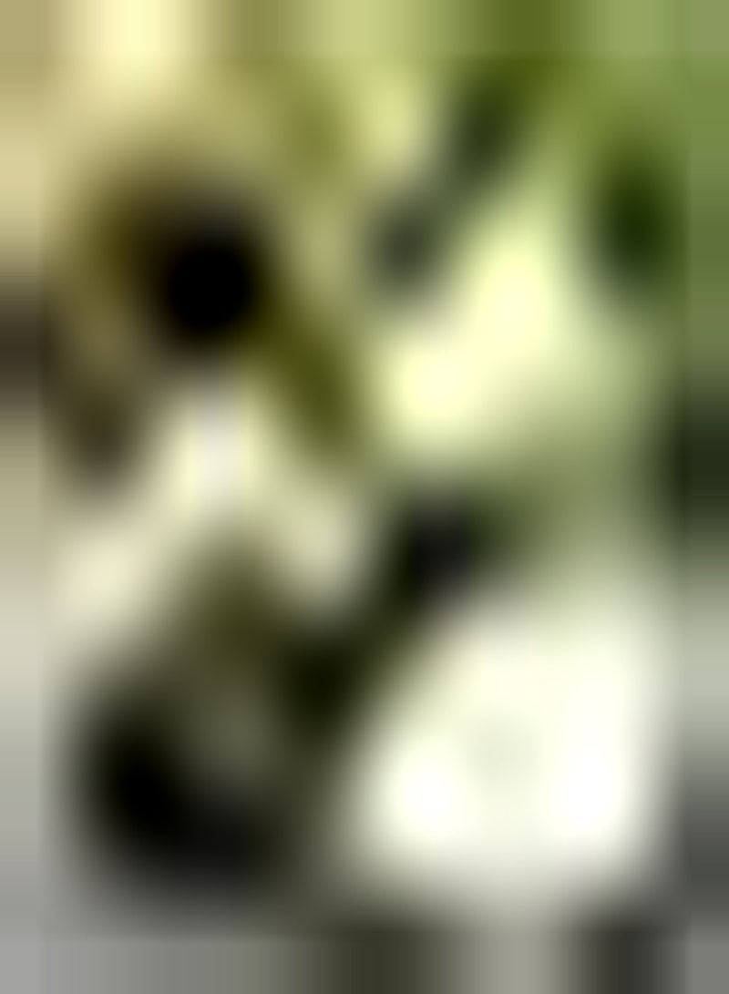 GGOOT 20Stück Annona Samen Zuckerapfel Fruchtsamen Einfach zu pflanzen schnelles Wachstum geeignet für Anfänger Herbsternte Ernährung Sauerampfer - Image 1