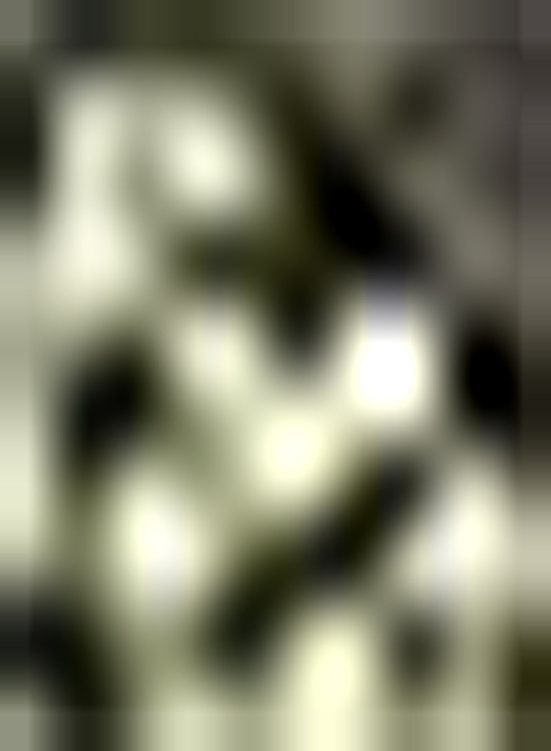 GGOOT 20Stück Annona Samen Zuckerapfel Fruchtsamen Einfach zu pflanzen schnelles Wachstum geeignet für Anfänger Herbsternte Ernährung Sauerampfer - Image 3