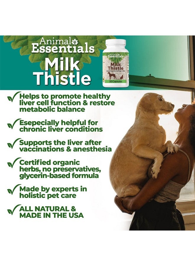 Animal Essentials Milk Thistle for Dogs & Cats - Liver Support, Milk Thistle 150mg, Silymarin, Liver Supplement, Herbal Capsules, Organic Human Grade Herbs, Veterinarian Recommended - 30 Count - Image 2