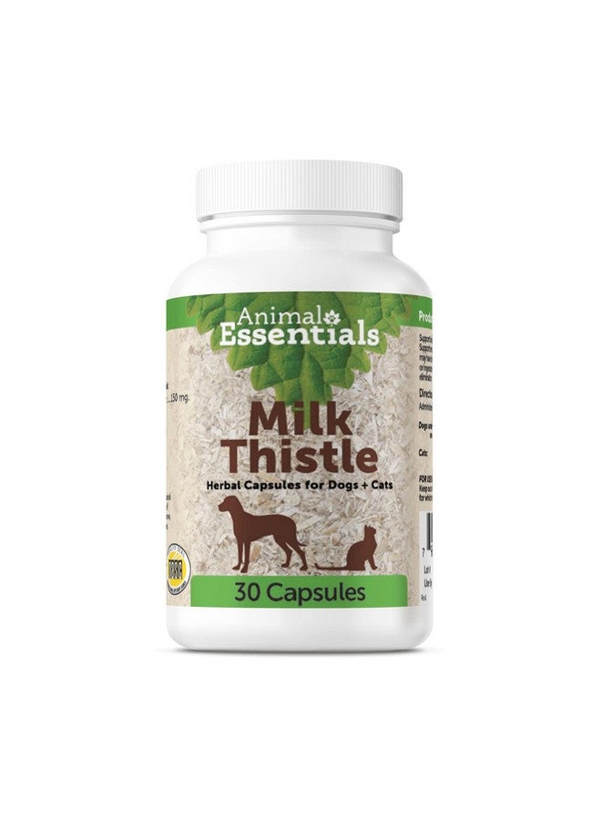 Animal Essentials Milk Thistle for Dogs & Cats - Liver Support, Milk Thistle 150mg, Silymarin, Liver Supplement, Herbal Capsules, Organic Human Grade Herbs, Veterinarian Recommended - 30 Count - Image 1