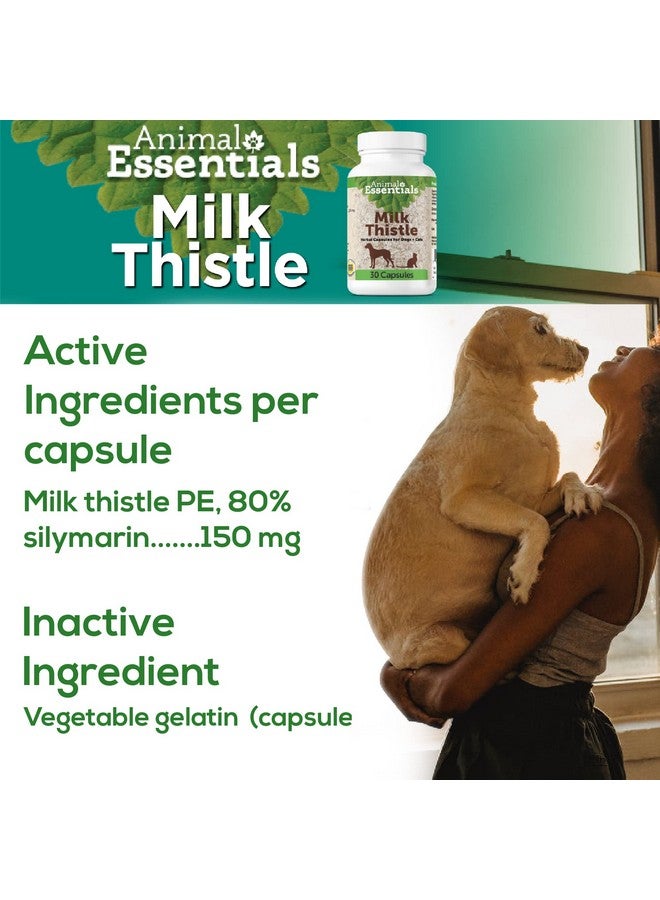 Animal Essentials Milk Thistle for Dogs & Cats - Liver Support, Milk Thistle 150mg, Silymarin, Liver Supplement, Herbal Capsules, Organic Human Grade Herbs, Veterinarian Recommended - 30 Count - Image 5