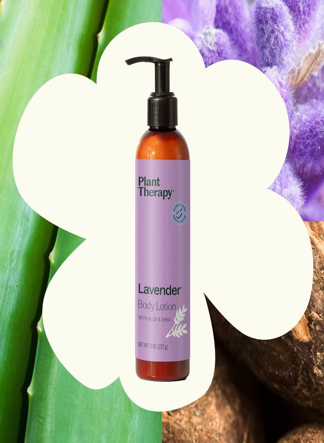 Plant Therapy Lavender Body Lotion with Aloe and Shea, Hydrate and Nourish Skin with Botanical Ingredients, 8 oz - Image 3