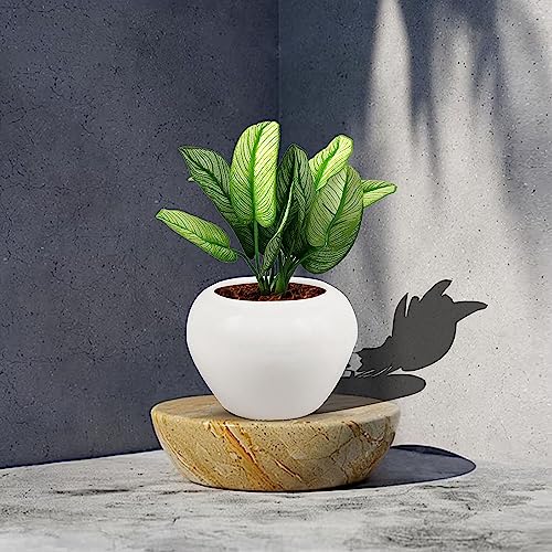 Lasaki Cloud Apple Small White Ceramic Pots for Indoor & Outdoor Plants | Decorative Balcony, Garden & Office Succulent Pot | Unique Designer Gamla Ceramic Planters Pots (H-10 X D-10 Cm) - Image 5