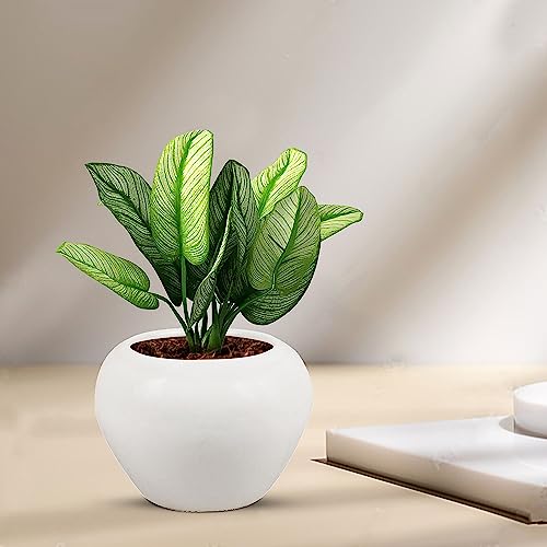 Lasaki Cloud Apple Small White Ceramic Pots for Indoor & Outdoor Plants | Decorative Balcony, Garden & Office Succulent Pot | Unique Designer Gamla Ceramic Planters Pots (H-10 X D-10 Cm) - Image 1