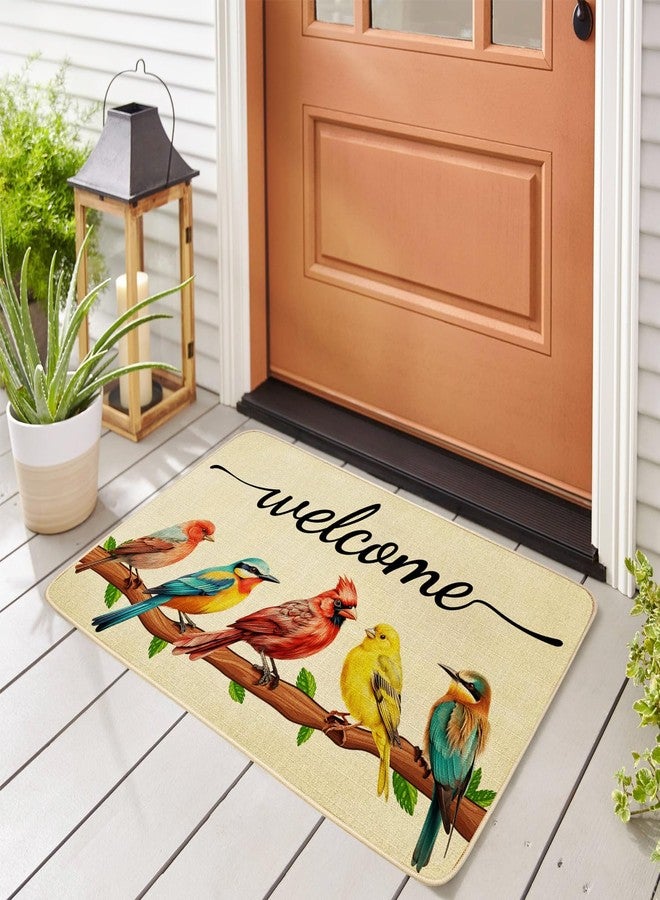 JWXCBIM Spring Door Mat Bird Welcome Decor Doormat, Summer Decorative Indoor Outdoor Non-Slip Mat for Home Entrance, Outside Entry, Floor, Patio 17x30 Inches - Image 4