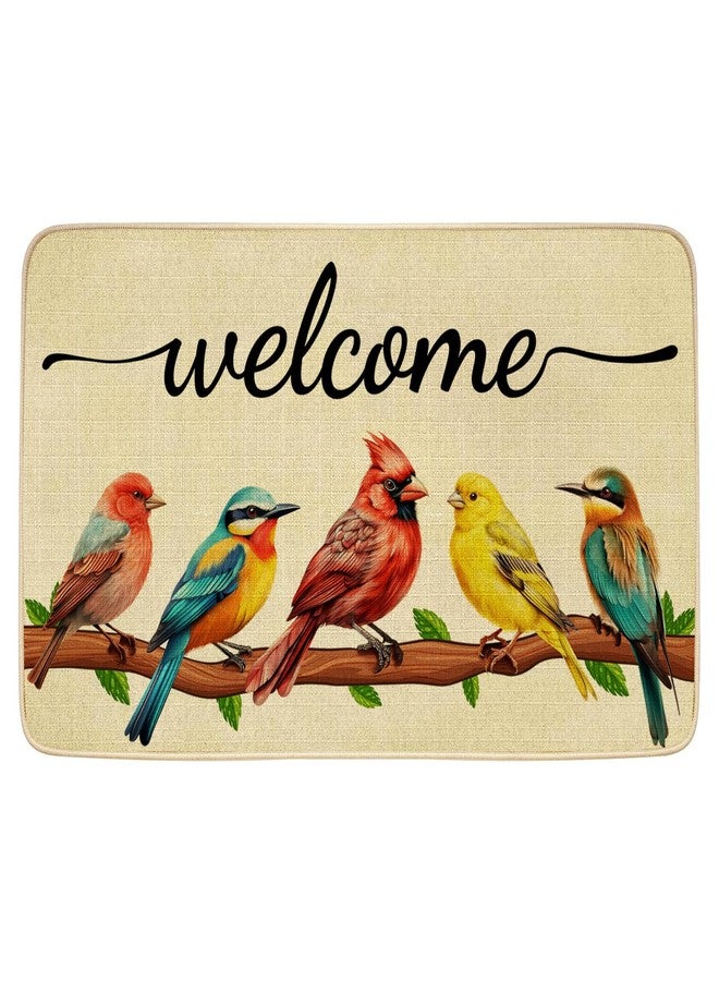 JWXCBIM Spring Door Mat Bird Welcome Decor Doormat, Summer Decorative Indoor Outdoor Non-Slip Mat for Home Entrance, Outside Entry, Floor, Patio 17x30 Inches - Image 1