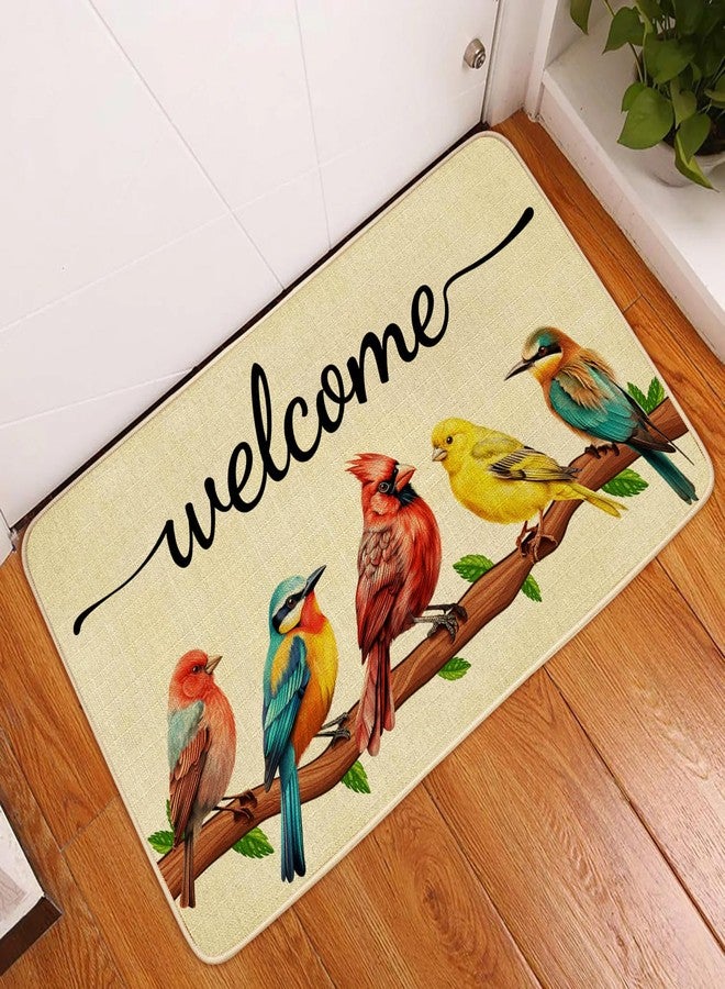 JWXCBIM Spring Door Mat Bird Welcome Decor Doormat, Summer Decorative Indoor Outdoor Non-Slip Mat for Home Entrance, Outside Entry, Floor, Patio 17x30 Inches - Image 5