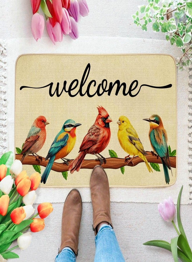 JWXCBIM Spring Door Mat Bird Welcome Decor Doormat, Summer Decorative Indoor Outdoor Non-Slip Mat for Home Entrance, Outside Entry, Floor, Patio 17x30 Inches - Image 2