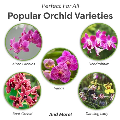 PERFECT PLANTS All Natural Orchid Potting Mix 4qts. by Perfect Plants | Hand Mixed in Small Batches | Great for Phalaenopsis of All Kinds - Image 2