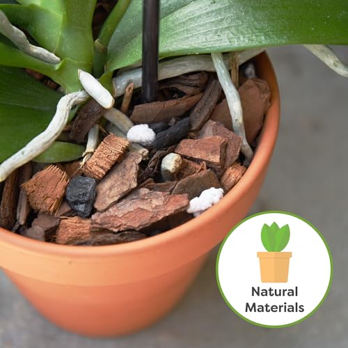 PERFECT PLANTS All Natural Orchid Potting Mix 4qts. by Perfect Plants | Hand Mixed in Small Batches | Great for Phalaenopsis of All Kinds - Image 3