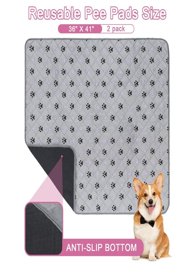 JERIA 2 Pack 36"x 41" Waterproof Non Slip Wee Wee pad，Reusable Washable Pee Pads for Dogs，Absorbent and Leakproof Training Mats for Potty, Bed, Sofa, Potty Training - Image 2