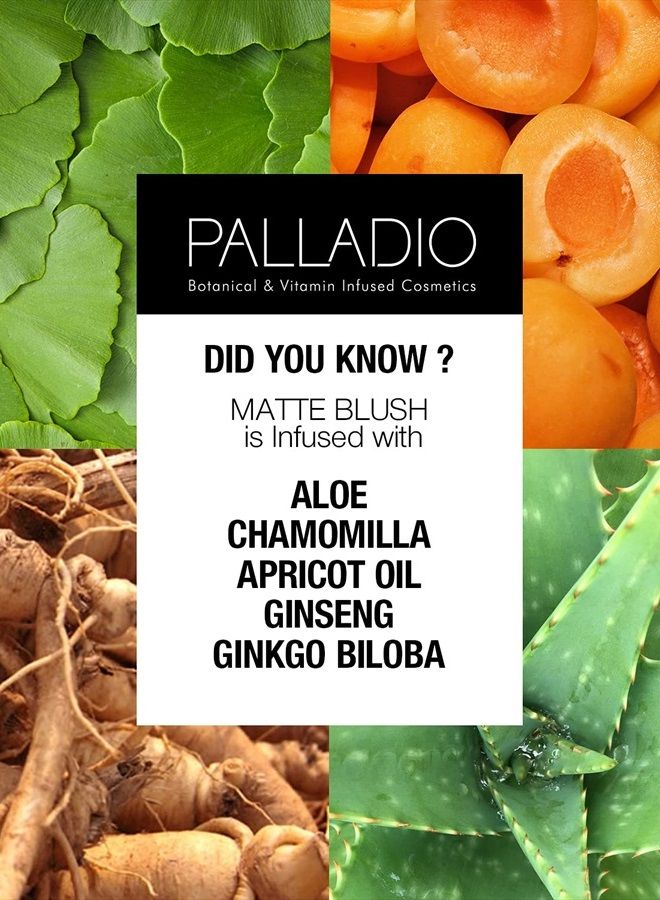 PALLADIO Matte Blush, Brushes onto Cheeks Smoothly, Soft Matte Look and Even Finish, Flawless Velvety Coverage, Effortless Blending Makeup, Flatters the Face, Convenient Compact, Tipsy - Image 3