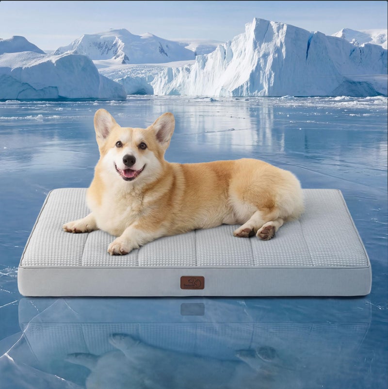 Bedsure Cooling Dog Bed for Crate - Large Comfy Flat Puppy Beds with Removable Washable Cover, Orthopedic Egg Crate Foam Pet Mat, Suitable for Pet Up to 50 lbs - Image 1