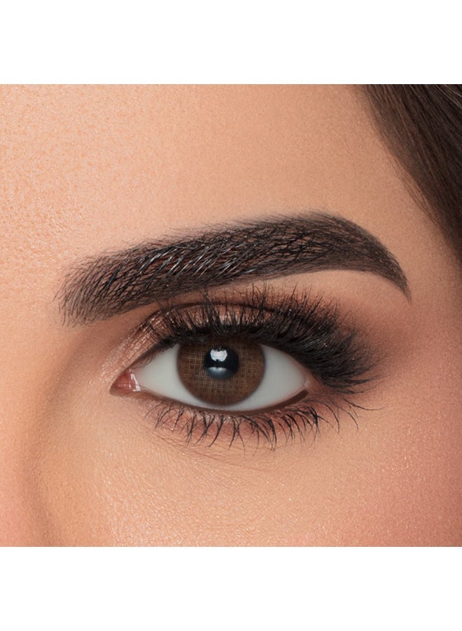 MyLense Contact Lenses - Monthly Lenses Brown Color - Pair in Box - Image 1