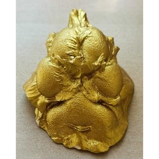 BABIES BLOOM BABIES BLOOM Dog or Cat Paw Casting kit. Pet Paw Gift for Pet Parent’s pet Owner’s Dog Lovers. Memorable Paw Print. (Pet Casting) 100g (Gold) - Image 3