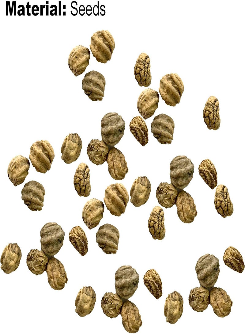 GGOOT 50Pcs/Bag Seed Eco-Friendly Good Water Absorption Fresh Bonsai Garden Nasturtium Flower Seed for Household Seed for Lawn - Image 2