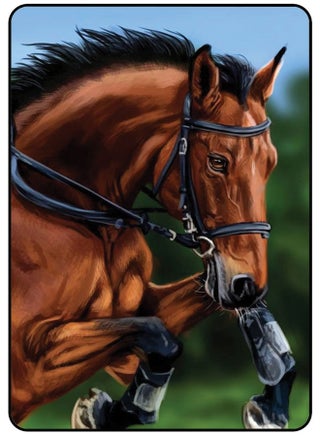 Protective Case Cover For Samsung Galaxy Tab S6 Lite 10.4 Inch (2020) Horse - pzsku/Z4C1620D54630C06734C4Z/45/_/1673808788/31b246b4-e7db-4414-aed6-28772ab2e8c5