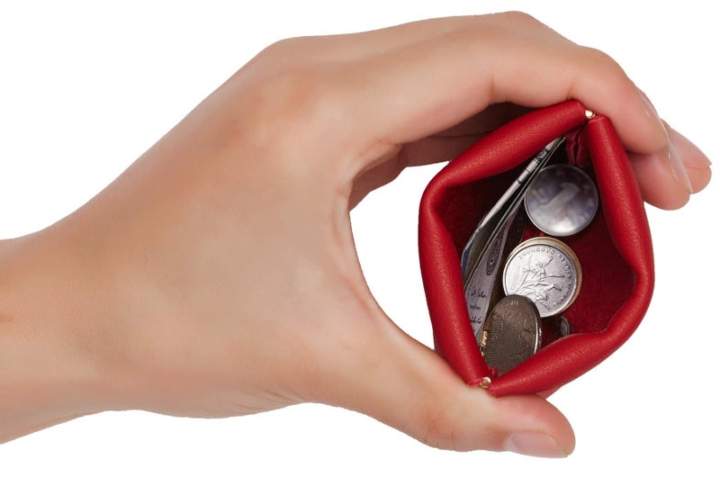 Travelambo Leather squeeze Coin Purse Pouch Change Holder For Men & Women (Access Red Classic) - Image 4