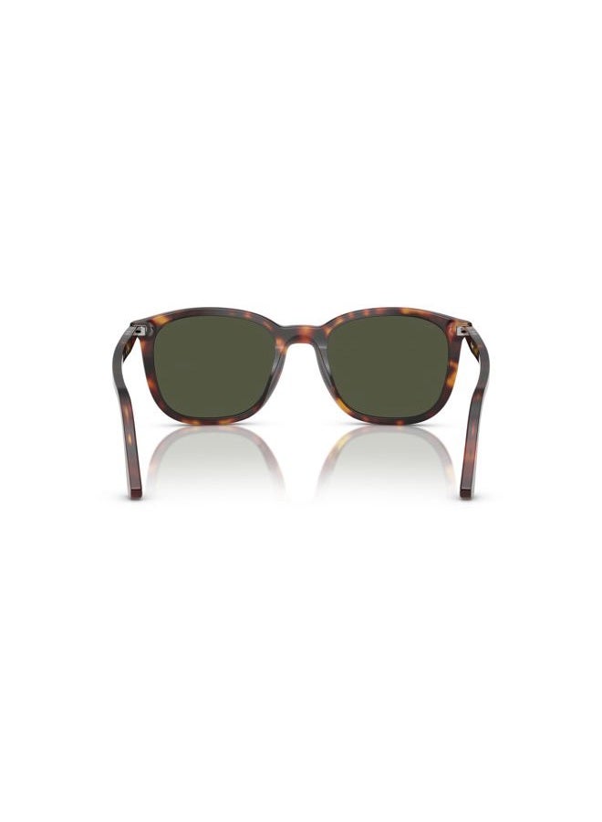 Persol PO3355S Square Sunglasses, Havana/Green, 52 mm - Image 4