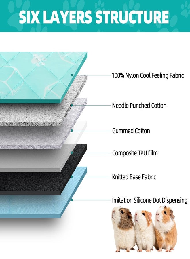 اتش او ام آي أم بي حصيرة تبريد صيفية من هوميب للحيوانات الصغيرة، 8 قطع، بطانة قفص خنازير غينيا، وسادة تبول للهامستر، وسادة تبريد قابلة للغسل للأرانب، بطانية سرير قابلة للتهوية للأرانب والقنافذ، تحافظ على برودة الحيوانات الأليفة، أزرق 10 × 12.5 بوصة - Image 2