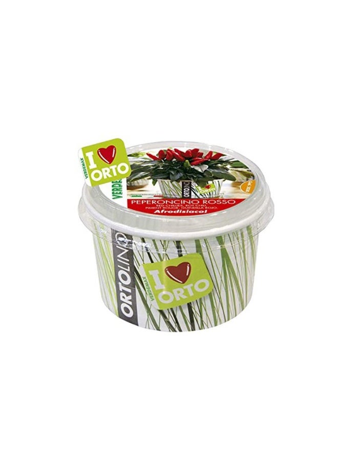 Verdemax Ortolino Chili Red Seeds Kit - Peperoncino Rosso VX2030