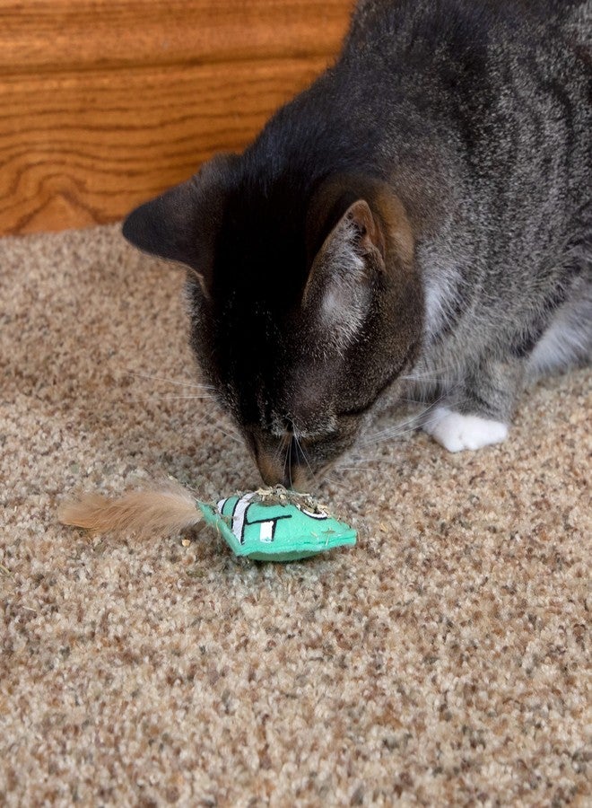 Kitty City Cat Premium Natural Catnip Collection, Catnip With Silvervine - Image 5