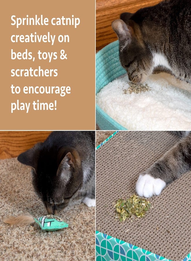 Kitty City Cat Premium Natural Catnip Collection, Catnip With Silvervine - Image 2