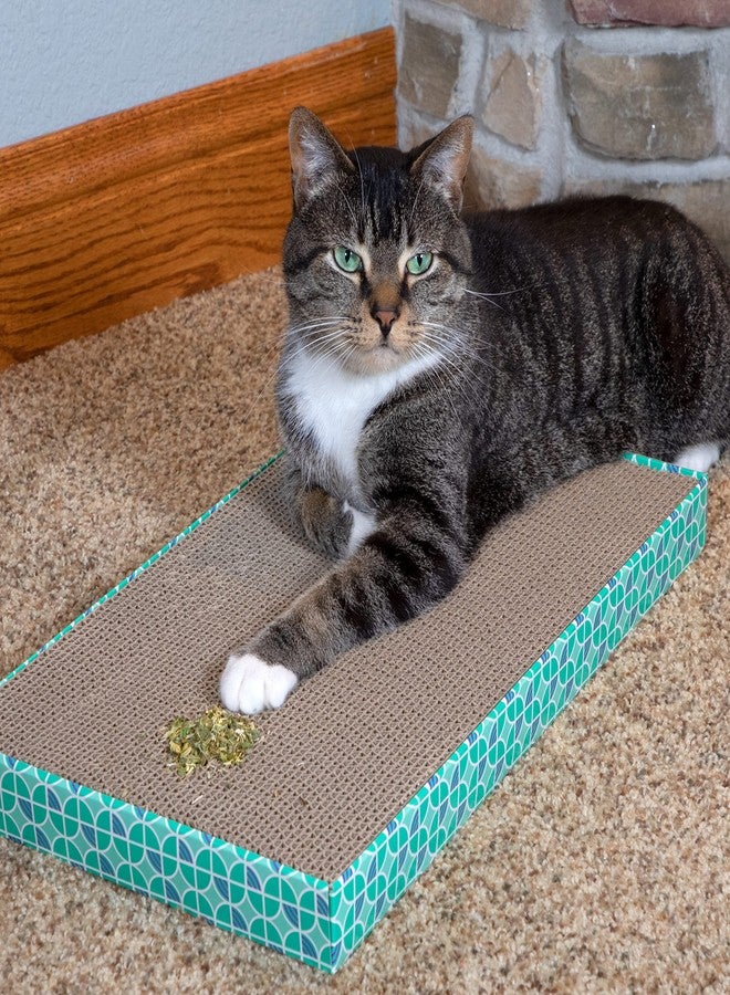 Kitty City Cat Premium Natural Catnip Collection, Catnip With Silvervine - Image 3