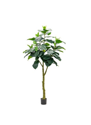 Artificial Ficus Elastica Abidjan 240cm - green - pzsku/Z4C19A25CE470A2D52FC2Z/45/1747814369/dba4fca3-7498-4114-9a89-22275f380b6f
