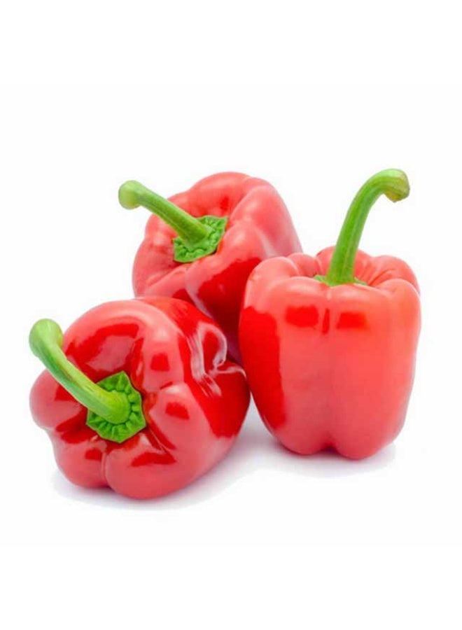 Red Capsicums , 500g - 2 to 4 pieces, UAE