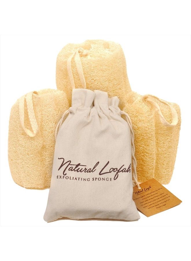CraftsOfEgypt Egyptian Natural Loofah Sponge Exfoliating Body Scrubber - Our Bath Loofahs Provide a Refreshingly Deep Clean to Your Face & Body - These Luffa Sponges Are Skin-Friendly & Vegan - 6 x 6 Inches, 3 Pack - Image 1