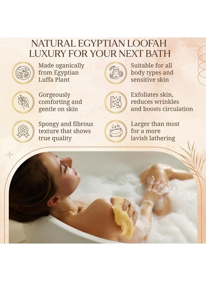 CraftsOfEgypt Egyptian Natural Loofah Sponge Exfoliating Body Scrubber - Our Bath Loofahs Provide a Refreshingly Deep Clean to Your Face & Body - These Luffa Sponges Are Skin-Friendly & Vegan - 6 x 6 Inches, 3 Pack - Image 4