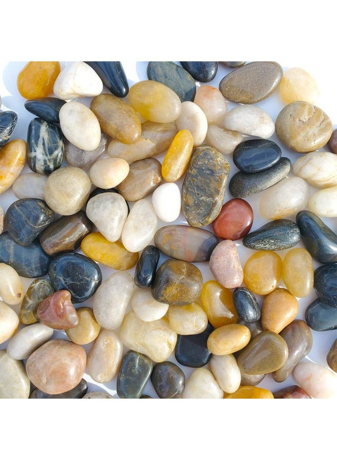 ساكورانج حصى حوض السمك 2 رطل من River Rock - حصى زخرفية مصقولة طبيعية، حصى زخرفية صغيرة، أحجار بألوان مختلطة، لأحواض السمك، والمناظر الطبيعية، وحشوات المزهريات (32 أونصة) - Image 1
