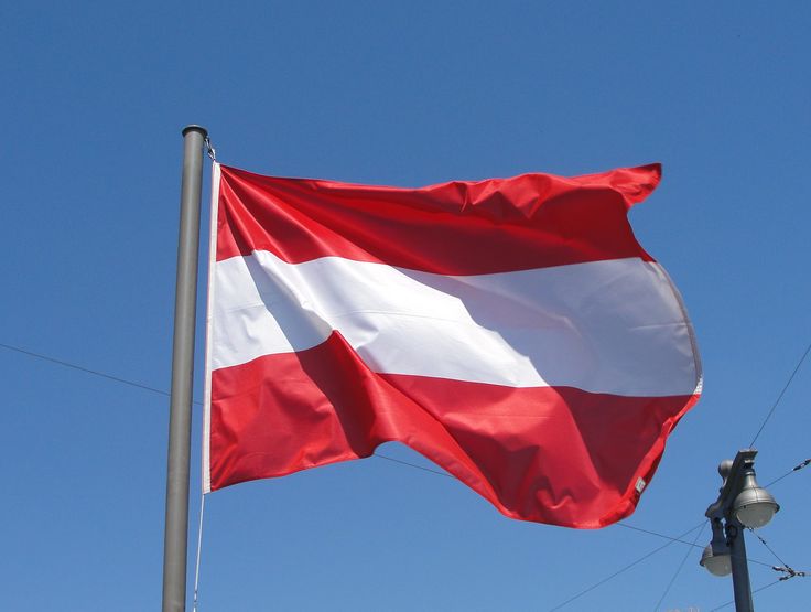 ARS Austria Flag - Heavy-Duty 210D Satin, Austria Flag for Outdoor/Indoor, Fade Resistant, Flag Day, And Home-Polyester, National Day Sport Day, FIFA World Cup, Indoor & Outdoor Use-Size Available - Image 3