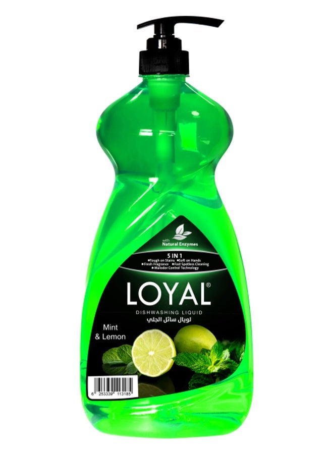 loyal 5 in 1 Dishwashing Liquid - Mint & Lemon 1.5L