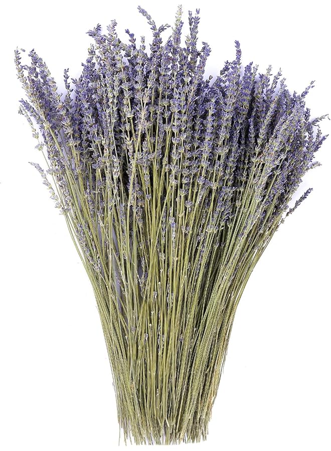 The Bros Dried Lavender Flowers Bundles 100% Natural Real Dry Flower for Home Decorations,Home Fragrance 350+ Stems - Image 1